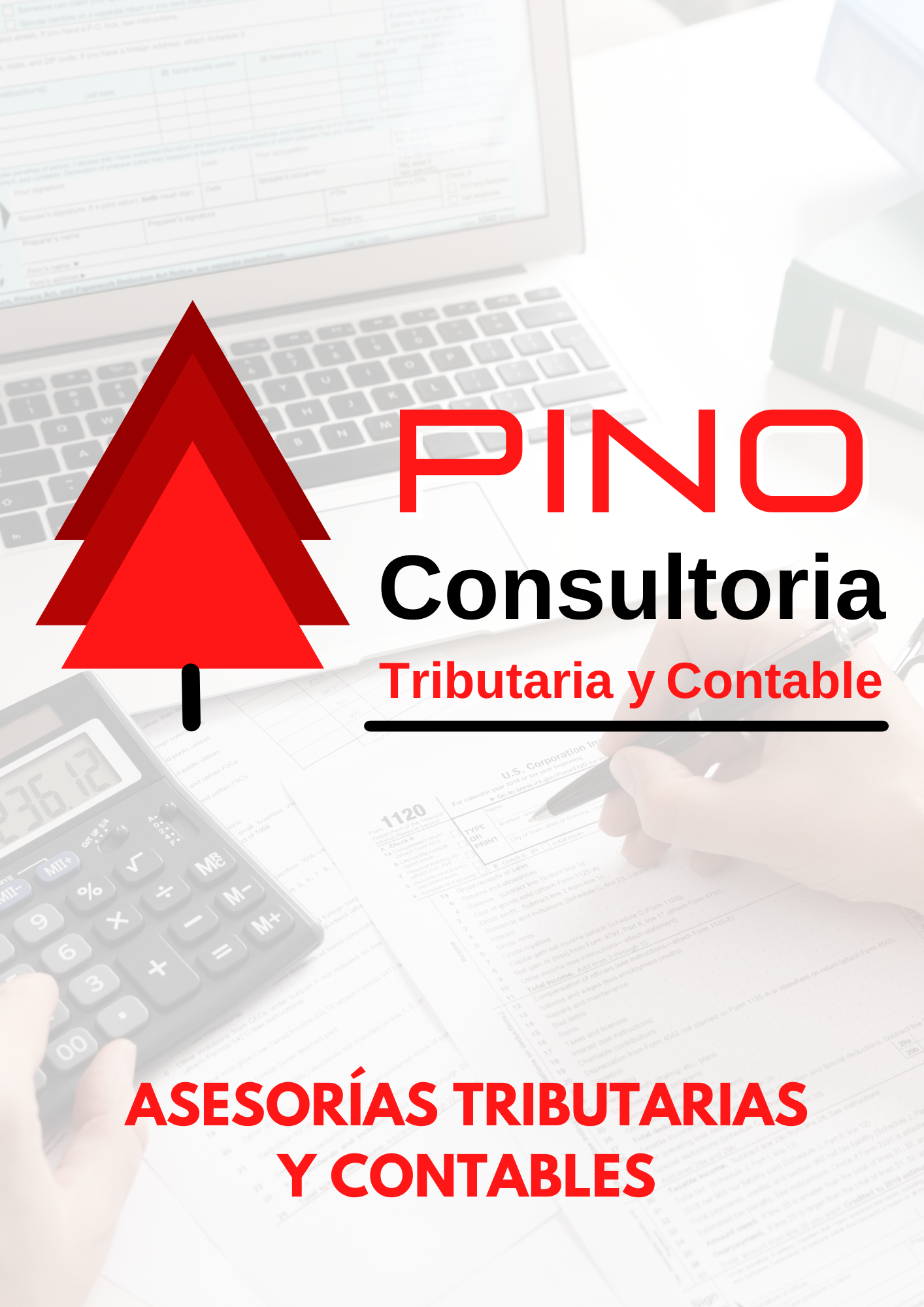 PINO Consultorías