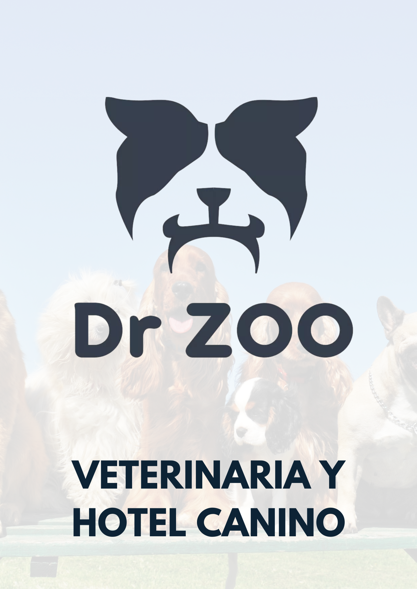 Dr Zoo